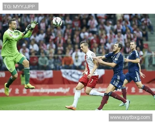 拉脱维亚与冰岛足球赛的比赛地点及相关信息解析