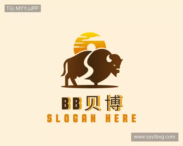 了解BB贝博艾弗森